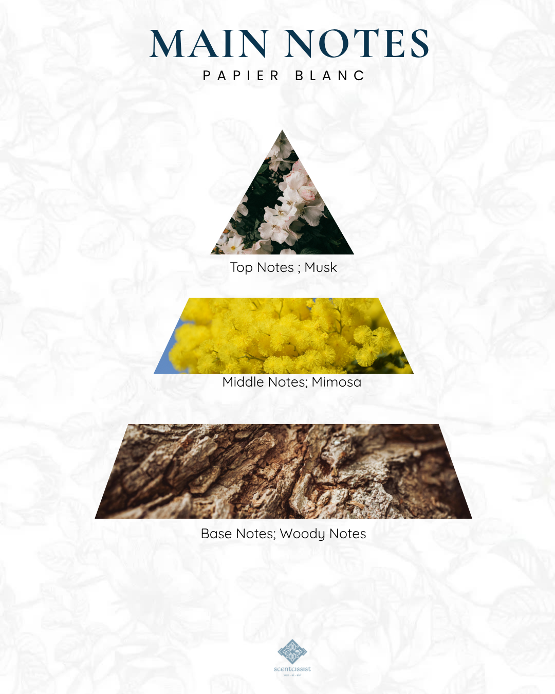 Papier Blanc 30ml Extrait De Parfum - Image 2