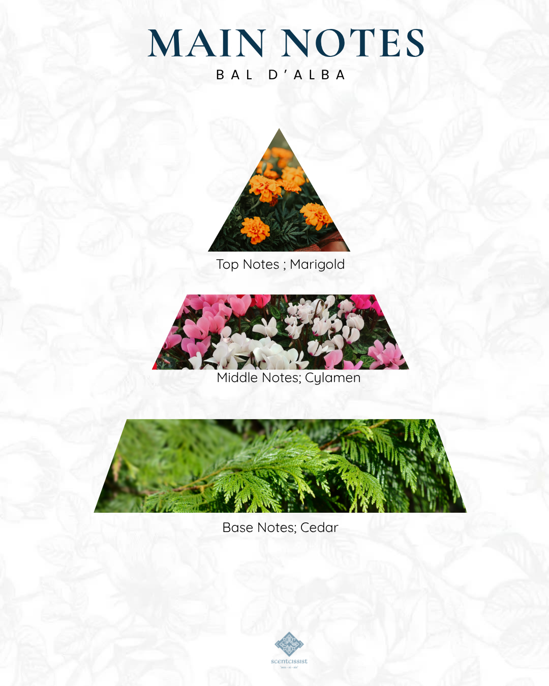 Bal D’Alba 30ml Extrait De Parfum - Image 2