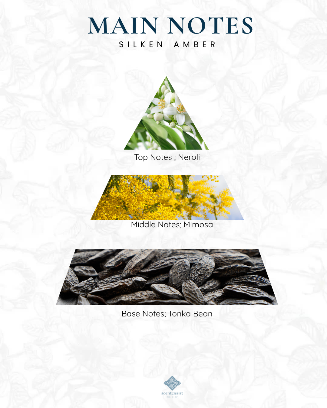 Silken Amber 30ml Extrait De Parfum - Image 2